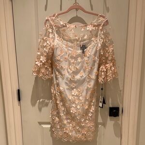 Adrianna Papell Ivory Blush Embroidered Dress